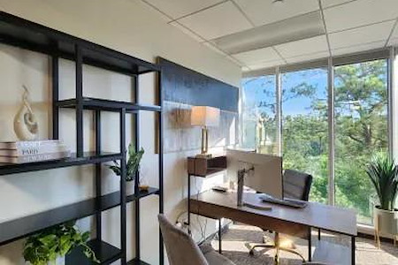 Lucid Private Offices | The Woodlands - Day Office for 3