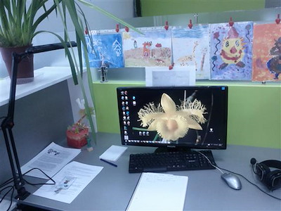 Lilia's space